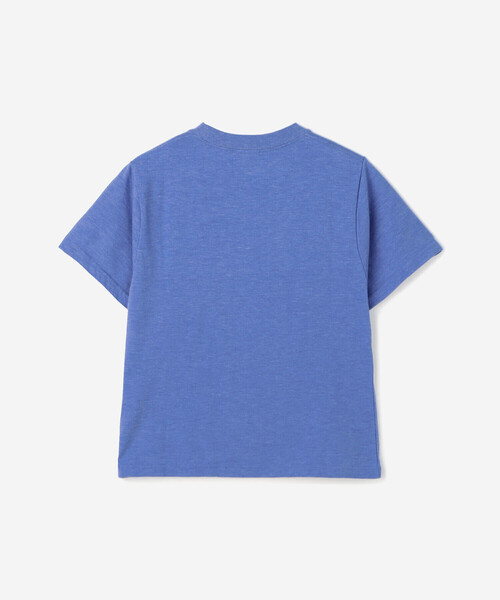 THE SHINZONE(ザ シンゾーン)の「THE SHINZONE | 〈別注〉 クルーネック Tシャツ WOMEN(Tシャツ/カットソー・レディース・ホワイト/ライトブルー・F)」の4枚目の写真