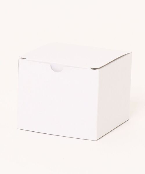 SKAGEN（スカーゲン）の「スカーゲン 腕時計 レディース アナログ ステンレス SKW3171（アナログ腕時計・レディース・シルバー・FREE）」の9枚目の写真