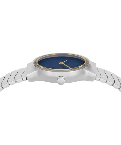 SKAGEN（スカーゲン）の「スカーゲン 腕時計 レディース アナログ ステンレス SKW3171（アナログ腕時計・レディース・シルバー・FREE）」の2枚目の写真