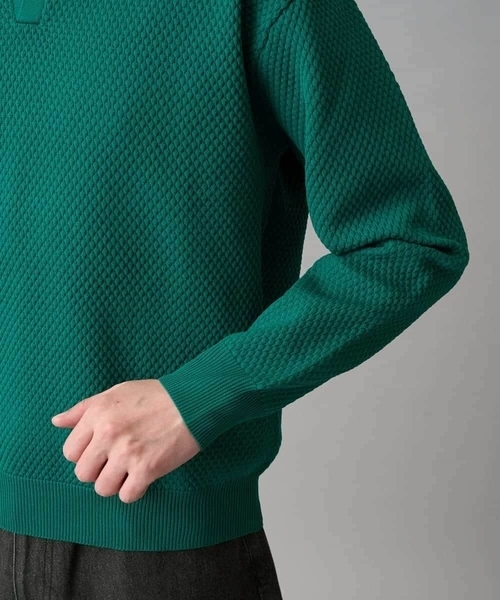 a.v.v(アーヴェヴェ)の「【洗濯機で洗える】ポップコーンスキッパーニットポロ(ニット/セーター・メンズ・ネイビー/グリーン・46/48)」の17枚目の写真