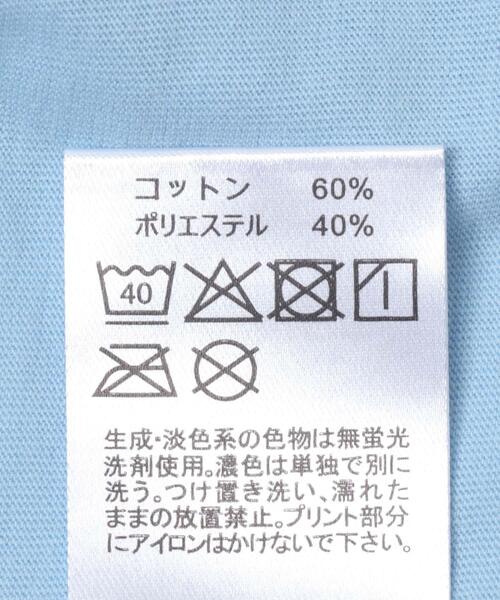 DANTON(ダントン)の「DANTON T/C INNER T-SHIRTS(Tシャツ/カットソー・レディース・ホワイト/ブルー・SMALL)」の3枚目の写真