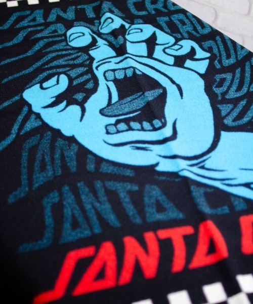 PENDLETON/SANTACRUZ ブランケット 88x109㎝（ブランケット）｜entre