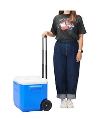 Coleman(R[})̃zC[N[[/60QT(AEghAObY)