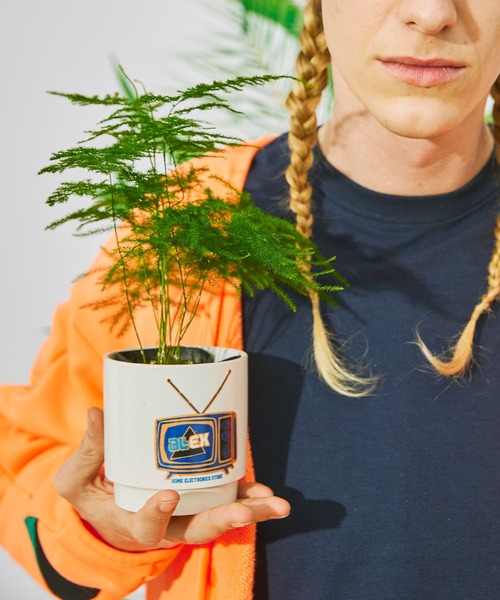 AlexanderLeeChang（アレキサンダーリーチャン）の