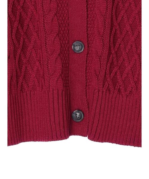 Green　Parks（グリーンパークス）の「ケーブル釦カーディガン（カーディガン/ボレロ・レディース・ベージュ/オフホワイト/ピンク/ブルー/ダークグレー・FREE）」の15枚目の写真