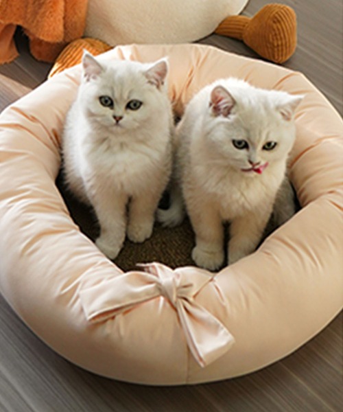 aimoha（アイモハ）の「円形爪とぎクッションベッド 丸型 猫 ネコ ペット 爪研ぎ（ペット用クッション/マット・レディース・ベージュ・FREE）」の2枚目の写真