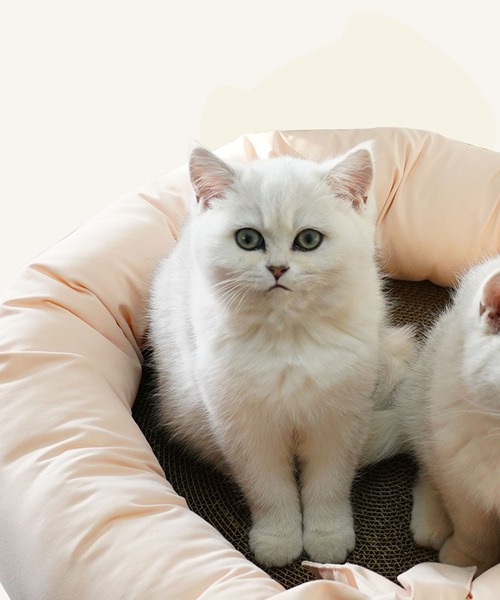 aimoha（アイモハ）の「円形爪とぎクッションベッド 丸型 猫 ネコ ペット 爪研ぎ（ペット用クッション/マット・レディース・ベージュ・FREE）」の7枚目の写真