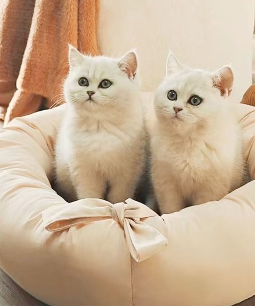 aimoha（アイモハ）の「円形爪とぎクッションベッド 丸型 猫 ネコ ペット 爪研ぎ（ペット用クッション/マット・レディース・ベージュ・FREE）」の3枚目の写真