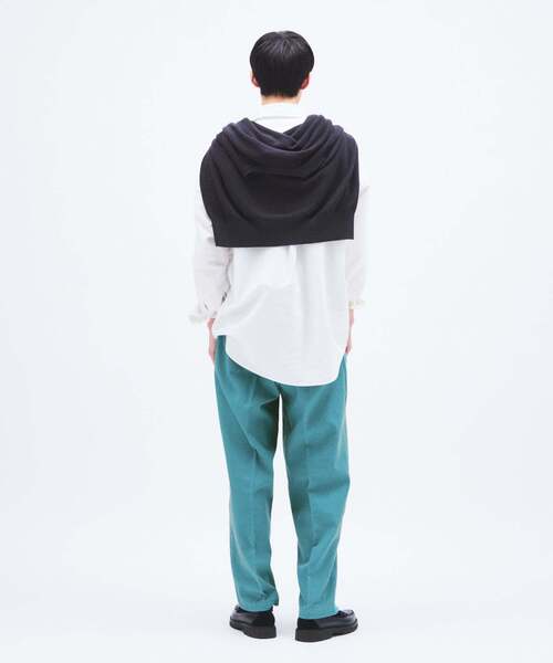 Dickies(ディッキーズ)の「Dickies / ディッキーズ 別注 リゾート ステート パンツ(その他パンツ・メンズ・ブラック/カーキ/ホワイト/グリーン/ブルー系その他・MEDIUM/LARGE)」の19枚目の写真