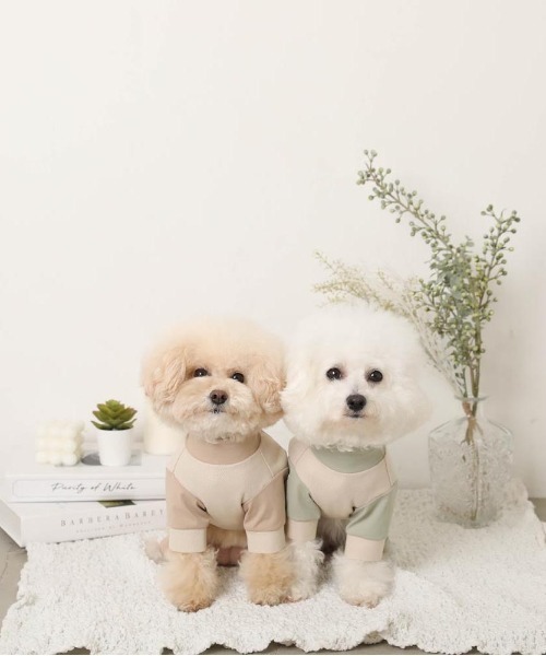 moncheri（モンシェリ）の「冷感防虫UVカットメッシュロンパース【保冷剤対応】（ペットウェア・レディース・グリーン/ベージュ・XL/L/M/S）」の6枚目の写真