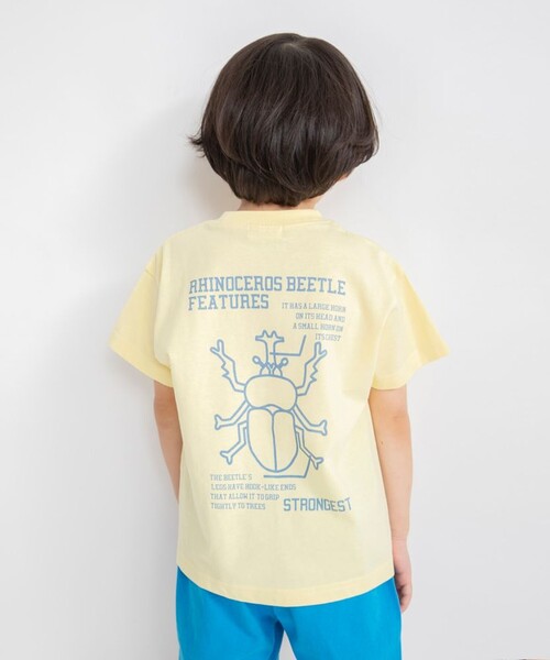 プチプラ】アソート半袖Tシャツ（Tシャツ/カットソー）｜branshes