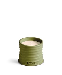 LOEWE Perfumes（ロエベ パルファム）の「ロエベ キャンドル ピスタチオ S（キャンドル）」
