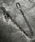 1004STiC`}}GXeB[j́uy1004STz EHbg`F[ (MA)iEHbg`F[jvbW