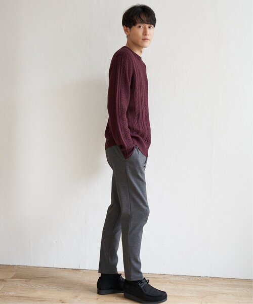 ikka(イッカ)の「抗菌アランケーブルリサイクルニット(ニット/セーター・メンズ・ネイビー/グリーン/オフホワイト/グレー/ワイン・XL/S/M/L)」の16枚目の写真