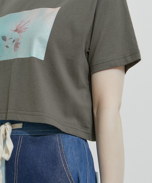 LEONARD フラワーとチェーンプリント 半袖Tシャツ［美品］ フラワーモチーフプリント短丈TEE（Tシャツ/カットソー）｜LE