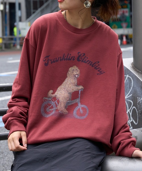 Franklin Climbing】ラブラドゥードル＆e-BIKEグラフィック
