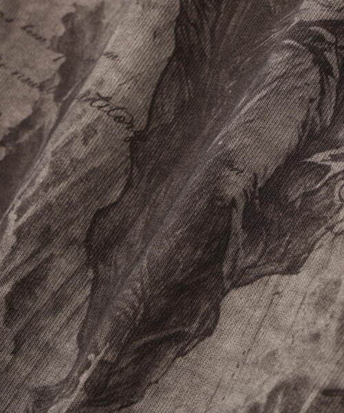 DANKE SCHON（ダンケシェーン）の「DankeSchon/ダンケシェーン/BURN S/S TEE MARIA（Tシャツ/カットソー・メンズ・ベージュ・L/M）」の12枚目の写真