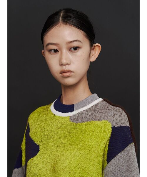 UN3D.（アンスリード）の「MIX CAMOUFLA JACQUARD TOP / ミックスカモフラジャガードドッキングトップ（ニット/セーター・レディース・ブラック/グレー・FREE）」の18枚目の写真