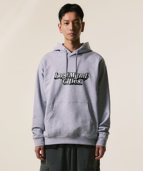 LMCの「SKOOL PIN HOODIE heather gray(パーカー・レディース・その他・SMALL/MEDIUM/LARGE/X-LARGE)」の3枚目の写真
