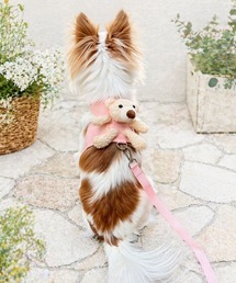 yield（イールド）の「【yield select】ペットグッズ くまさん ハーネス（リード/ハーネス/首輪）」