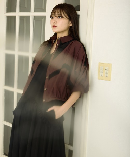 AVIE(アビィ)の「レース切替ブラウス(シャツ/ブラウス・レディース・ブラウン・38)」の3枚目の写真