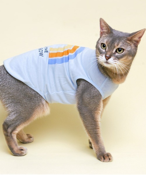 猫の暮らし（ネコノクラシ）の「猫の暮らし/ねこのくらし/クレンゼタンクレインボー　キャット/猫用品（ペットウェア・レディース・ブルー/ピンク・M/S/L）」の10枚目の写真