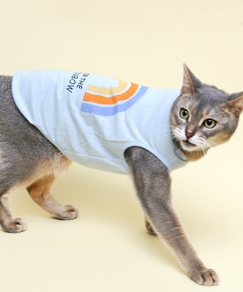 猫の暮らし（ネコノクラシ）の「猫の暮らし/ねこのくらし/クレンゼタンクレインボー　キャット/猫用品（ペットウェア・レディース・ブルー/ピンク・M/S/L）」の5枚目の写真