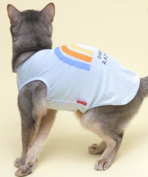 猫の暮らし（ネコノクラシ）の「猫の暮らし/ねこのくらし/クレンゼタンクレインボー　キャット/猫用品（ペットウェア・レディース・ブルー/ピンク・M/S/L）」の6枚目の写真