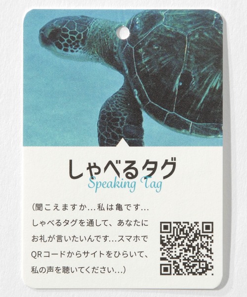 BAYFLOW（ベイフロー）の「オーガニックコットンVプルオーバー（Tシャツ/カットソー・レディース・ブラウン/オフホワイト/カーキ/その他1/その他2・SMALL/MEDIUM/LARGE）」の20枚目の写真