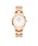 Daniel Wellingtoni_jGEFgj́uICONIC LINK 28mm&32mmiAiOrvjvbzCg×S[h