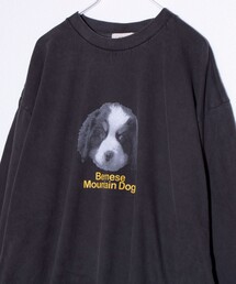 GLOSTER | 【GLOSTER/グロスター】DOG&CAT 犬猫プリント ピグメント プリントロンT 長袖Tシャツ(Tシャツ/カットソー)