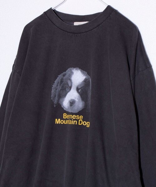 GLOSTER（グロスター）の「【GLOSTER/グロスター】DOG&CAT 犬猫プリント ピグメント プリントロンT 長袖Tシャツ（Tシャツ/カットソー・メンズ・ブラック系その他/ブラック系その他3/ブラック系その他5/その他/ブラック系その他2/ブラック系その他4/ブラック系その他6/ブラック系その他7・S/M/L）」の8枚目の写真