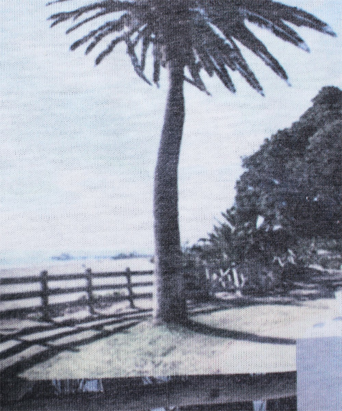 ８(eight)（エイト）の「パッチワーク 半袖Tシャツ ビーチT（Tシャツ/カットソー・メンズ・B/A/C・LARGE/MEDIUM）」の10枚目の写真