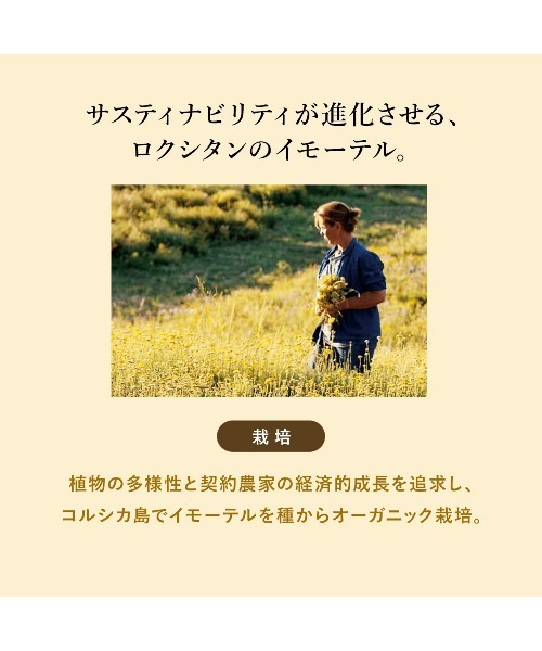 L'OCCITANE（ロクシタン）の「イモーテル ディヴァインアクティヴフェイスウォーター 200mL（化粧水・レディース・その他・FREE）」の5枚目の写真