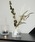 LAKOLEiRj́uFLOWER[hfBt[U[ / 352776i[tOX/jvb̑1