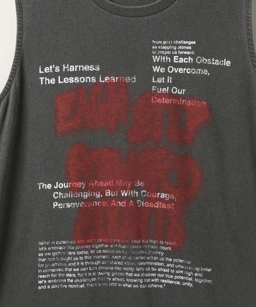 JEANASIS（ジーナシス）の「SprayロゴヴィンテージNS/133210（Tシャツ/カットソー・レディース・グレー系その他/ホワイト系その他/レッド系その他・FREE）」の9枚目の写真