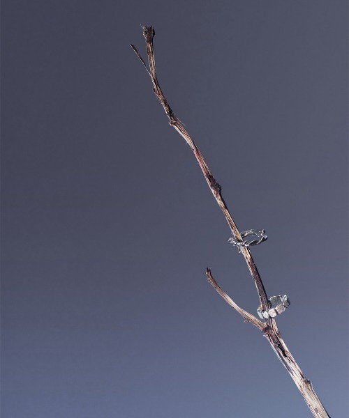 Fauvirame(フォーヴィレイム)の「【Fauvirame】Roots Ring(リング・レディース・シルバー・11号/9号/13号/15号)」の8枚目の写真