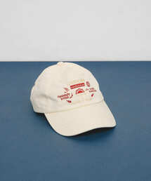 KBF(PCr[Gt)̃oCJ[GuC_[CAP(Lbv)