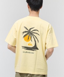 Quiksilver | クイックシルバー QUIKSILVER PG WILD CHIME ST(Tシャツ/カットソー)