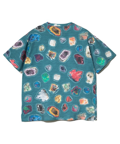 go slow caravan（ゴースローキャラバン）の「スラブ天竺 総柄図鑑プリントTEE vol.8（Tシャツ/カットソー・メンズ・ブルー系その他/オレンジ系その他/ブルーグリーン/ブラック・X-LARGE/LARGE/MEDIUM）」の10枚目の写真