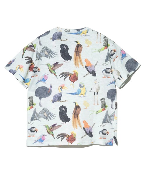 go slow caravan（ゴースローキャラバン）の「スラブ天竺 総柄図鑑プリントTEE vol.8（Tシャツ/カットソー・メンズ・ブルー系その他/オレンジ系その他/ブルーグリーン/ブラック・X-LARGE/LARGE/MEDIUM）」の13枚目の写真