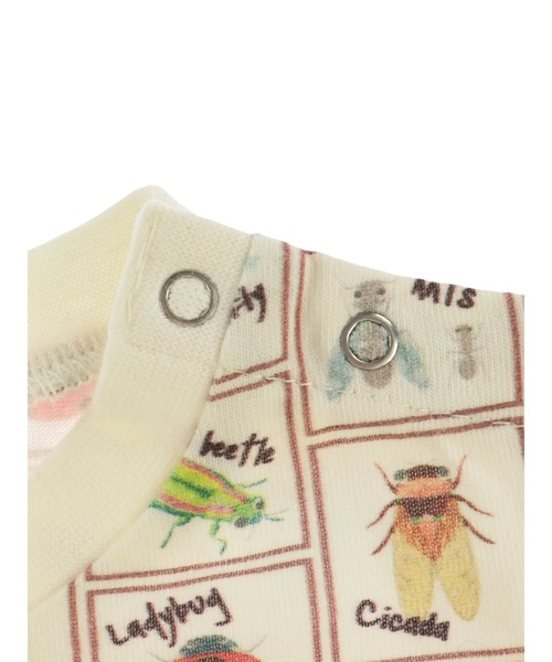 INSECT COLLECTION（インセクトコレクション）の「抗ウィルスなど高機能！クラシック昆虫大集合Tシャツ（Tシャツ/カットソー・キッズ・オフホワイト・S/M/L/XL）」の4枚目の写真