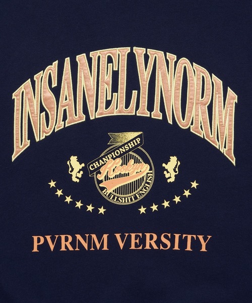 WHO'S WHO gallery(フーズフーギャラリー)の「【KOOKY'N/クーキー】VERSITYスウェットクルー(スウェット・メンズ・アッシュグレー/ブラック/ネイビー/グリーン・FREE)」の16枚目の写真