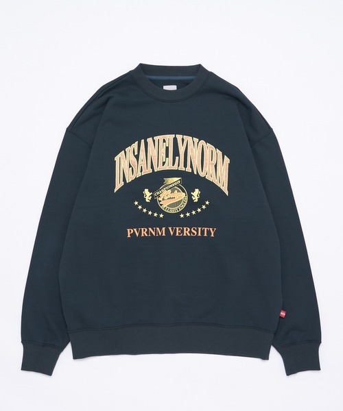 WHO'S WHO gallery(フーズフーギャラリー)の「【KOOKY'N/クーキー】VERSITYスウェットクルー(スウェット・メンズ・アッシュグレー/ブラック/ネイビー/グリーン・FREE)」の15枚目の写真