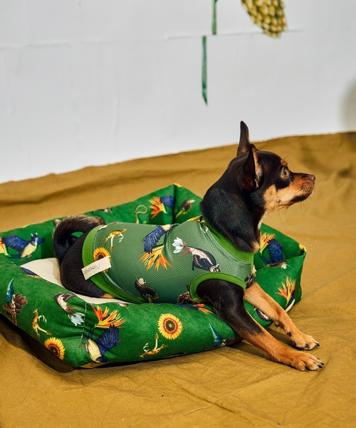 AlexanderLeeChang（アレキサンダーリーチャン）の「AlexanderLeeChang アレキサンダーリーチャン / AP