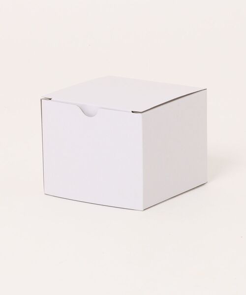 SKAGEN（スカーゲン）の「スカーゲン 腕時計 メンズ アナログ レザー SKW6942（アナログ腕時計・メンズ・ブラウン・FREE）」の10枚目の写真