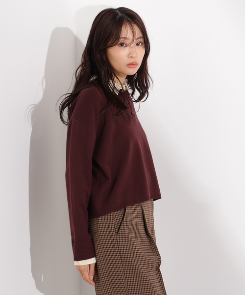 N.（N. Natural Beauty Basic）（エヌエヌナチュラルビューティーベーシック）の「シャツレイヤードニットⅡ（ニット/セーター・レディース・グレー/ネイビー/ブラウン・MEDIUM）」の19枚目の写真