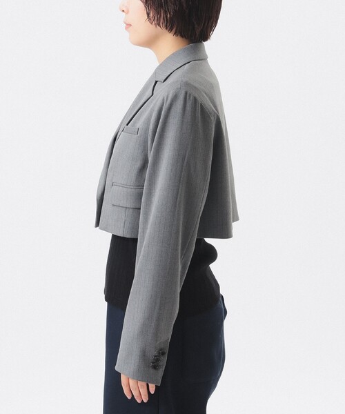 Ray BEAMS（レイビームス）の「2ボタン W クロップド ジャケット（テーラードジャケット・レディース・ブラック/グレー・0/1）」の18枚目の写真