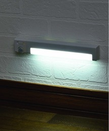 BACKYARD FAMILY(�o�b�N���[�h�t�@�~���[)�̃��[�~�[ �A�W���X�g�Z���T�[���C�g(�Ɩ�)