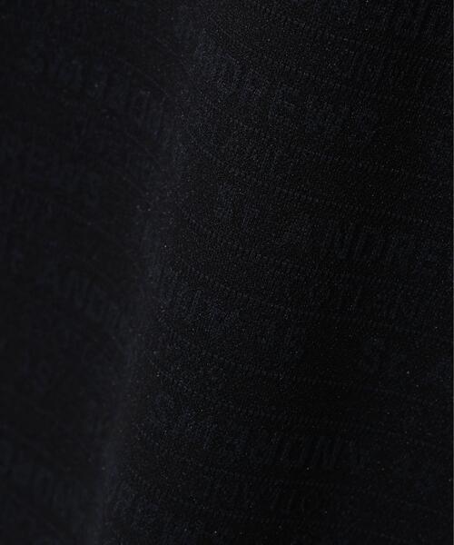 St ANDREWS(セントアンドリュース)の「【St ANDREWS】【吸水速乾】ロゴボーダージャガード無地半袖シャツ (WOMENS)(ポロシャツ・レディース・ホワイト/グリーン/ブラック・L/M/S)」の17枚目の写真